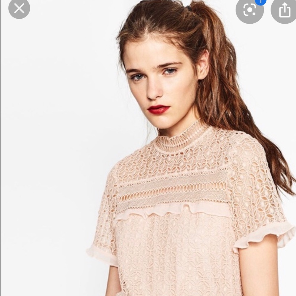 Zara Blush Pink Lace Ruffle Top